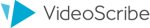 videoscribe.co